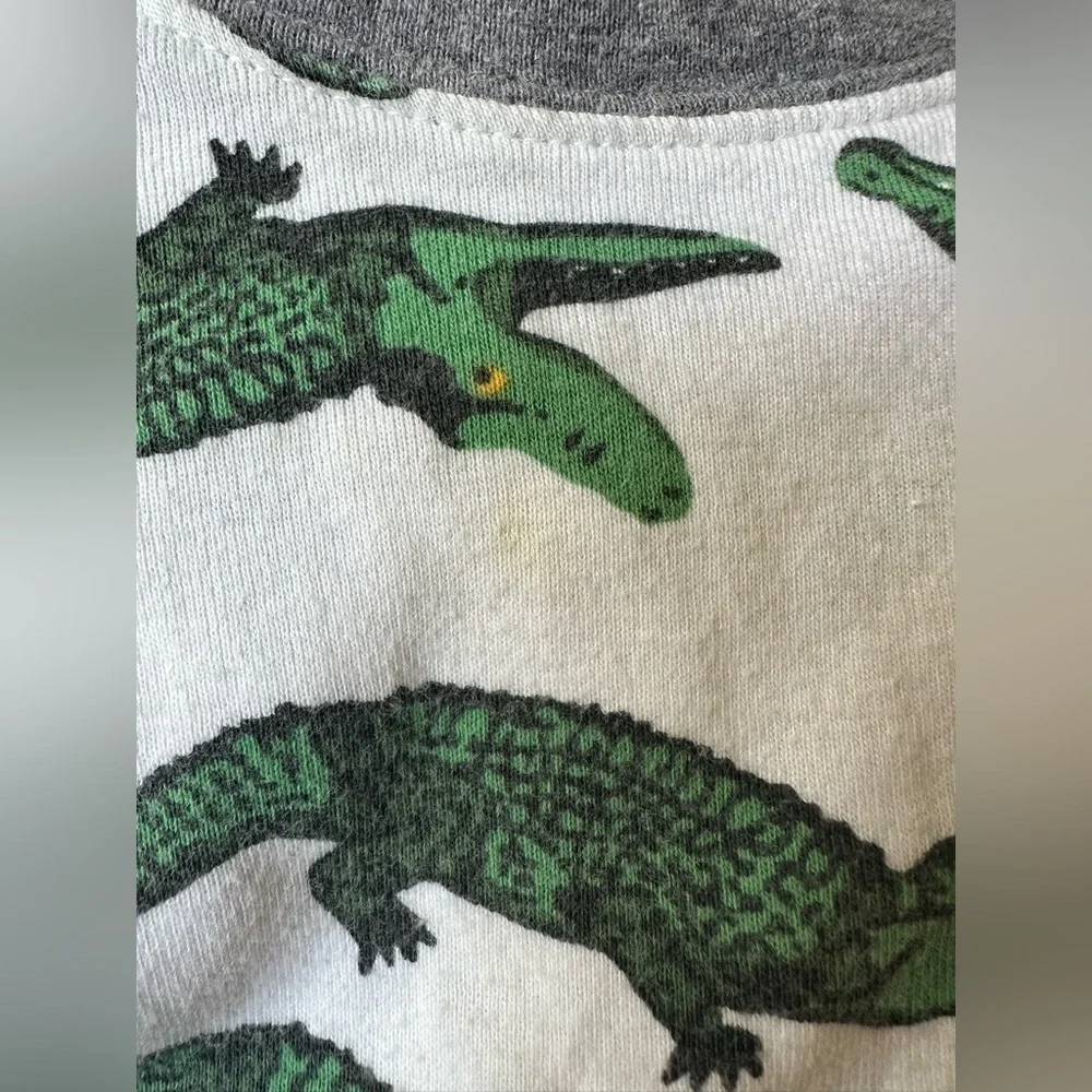 Baby Crocodile Pajama Set - Gray and Green